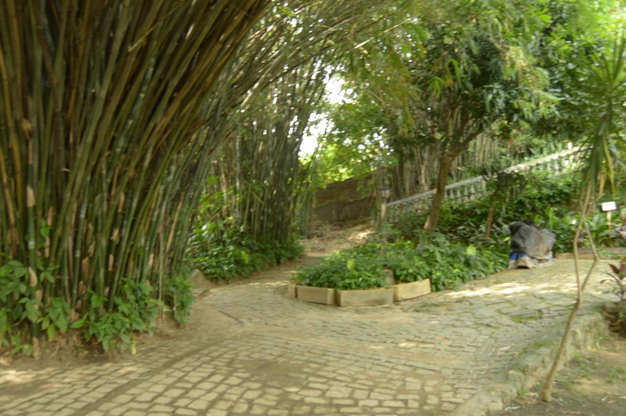 Rio Natureza Adaptado Apart 101 Rio de Janeiro Esterno foto